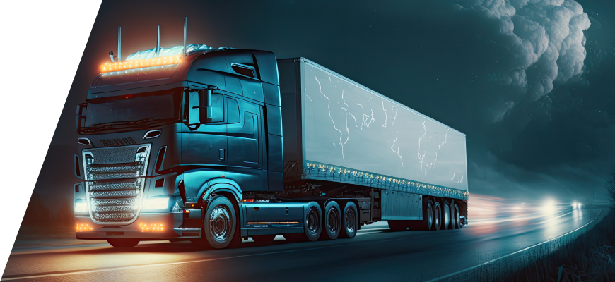 Delivery Performance - LIFACARGOEXPRESS